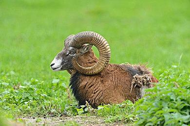 传闻：《龙珠Z：卡卡罗特》下个DLC将回归系列之始