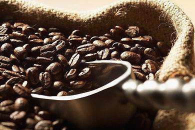 《索尼克×夏特 世代重启》序章动画第三集现已发布！奔赴太空殖民地方舟